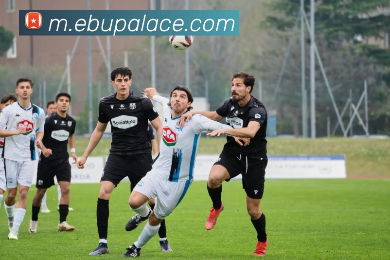 赛事专题整合
